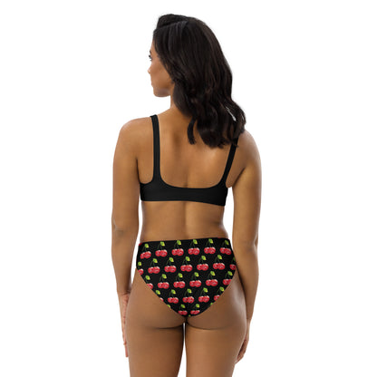 The Hi Sexi High Waisted Black Bikini